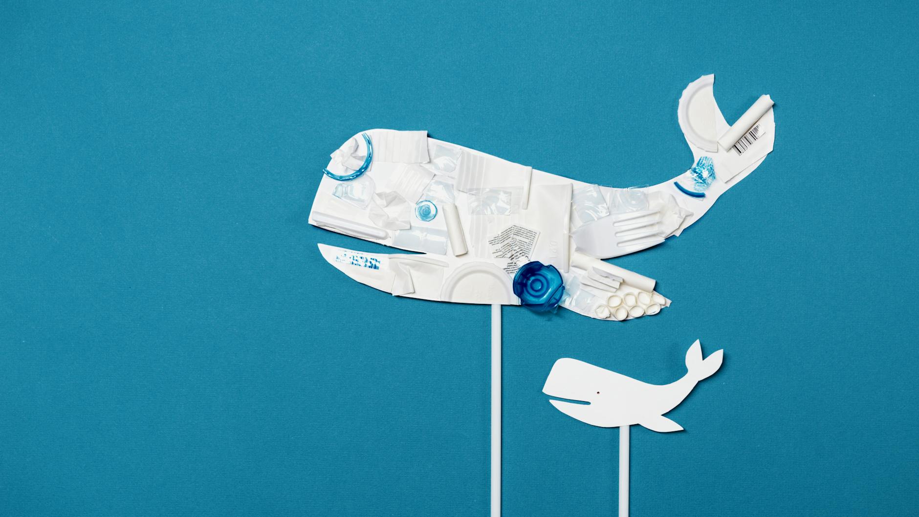 Cleanwhale Bewertungen: Ihre Lösung für makellose Sauberkeit in Frankfurt